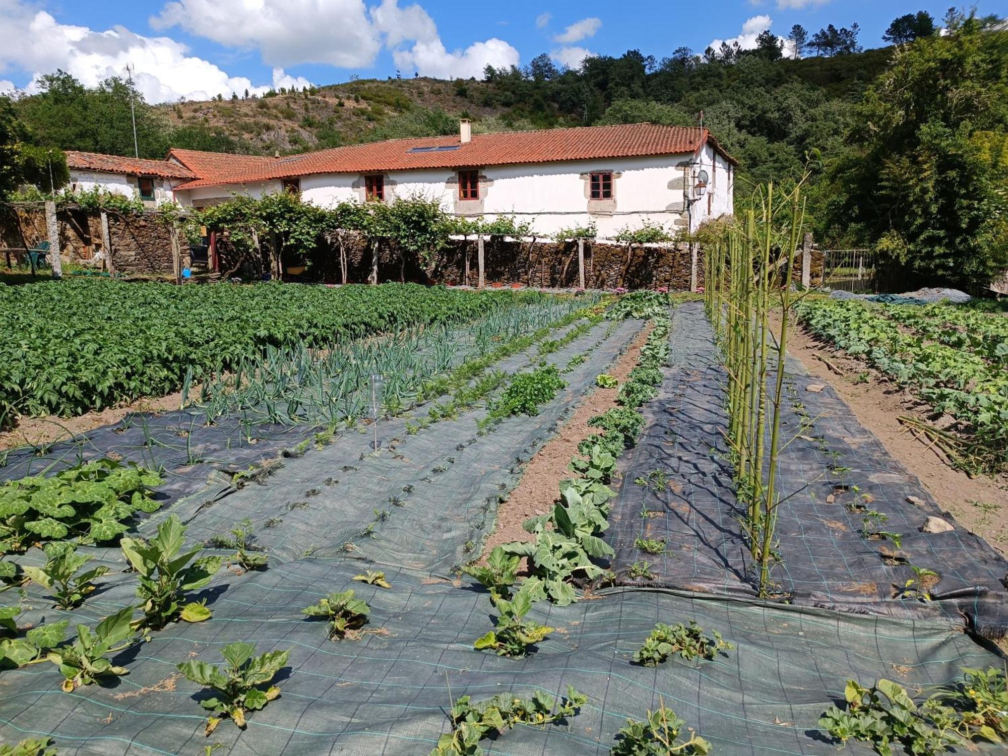 Casa Grande De Covas-Apartamentos Turisticos タボアーダ エクステリア 写真