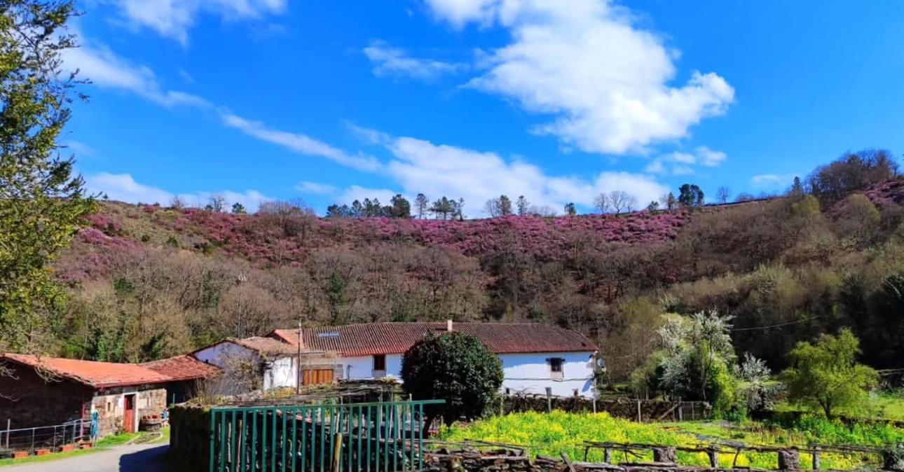 Casa Grande De Covas-Apartamentos Turisticos タボアーダ エクステリア 写真