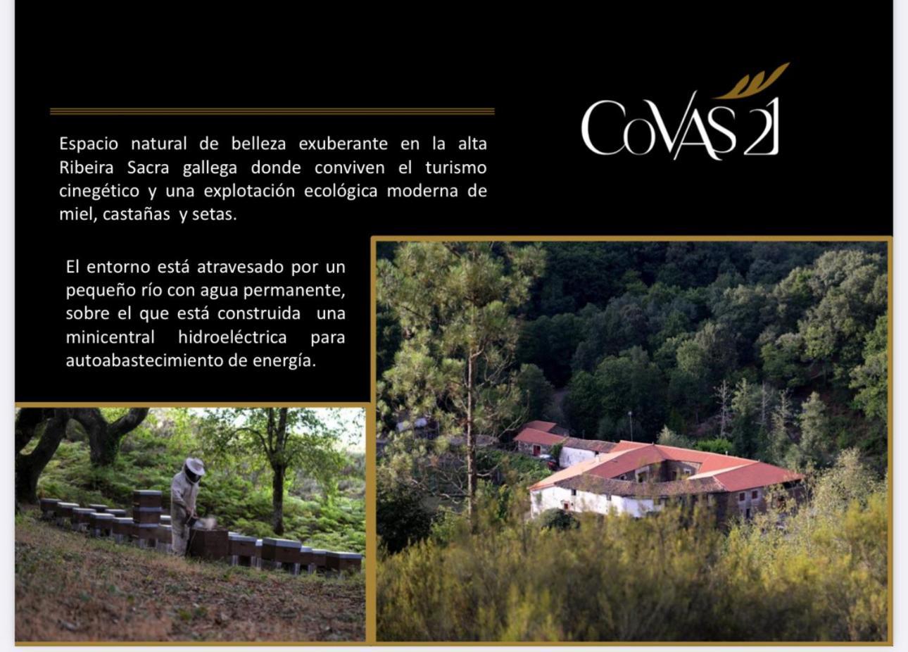 Casa Grande De Covas-Apartamentos Turisticos タボアーダ エクステリア 写真