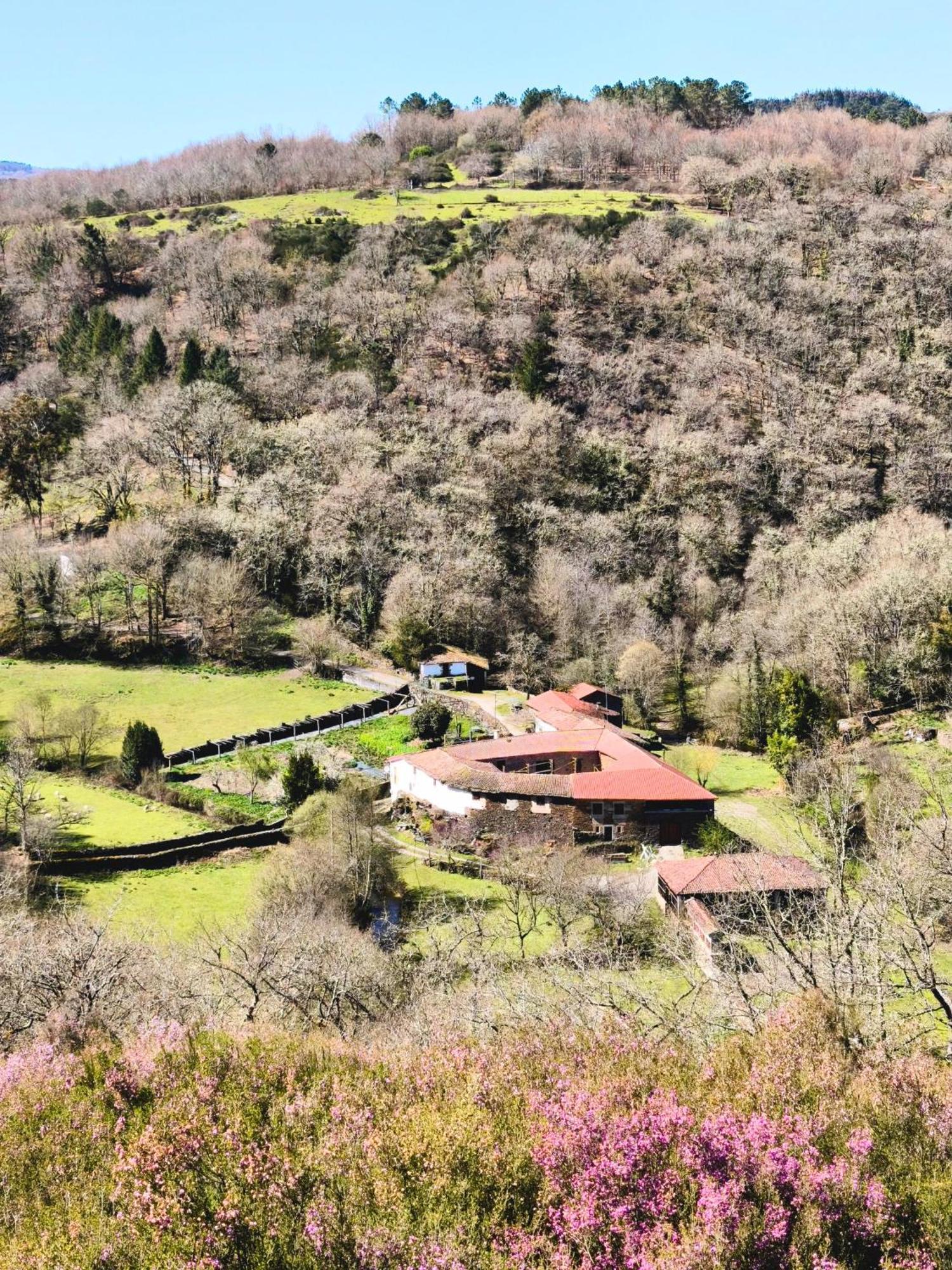 Casa Grande De Covas-Apartamentos Turisticos タボアーダ エクステリア 写真