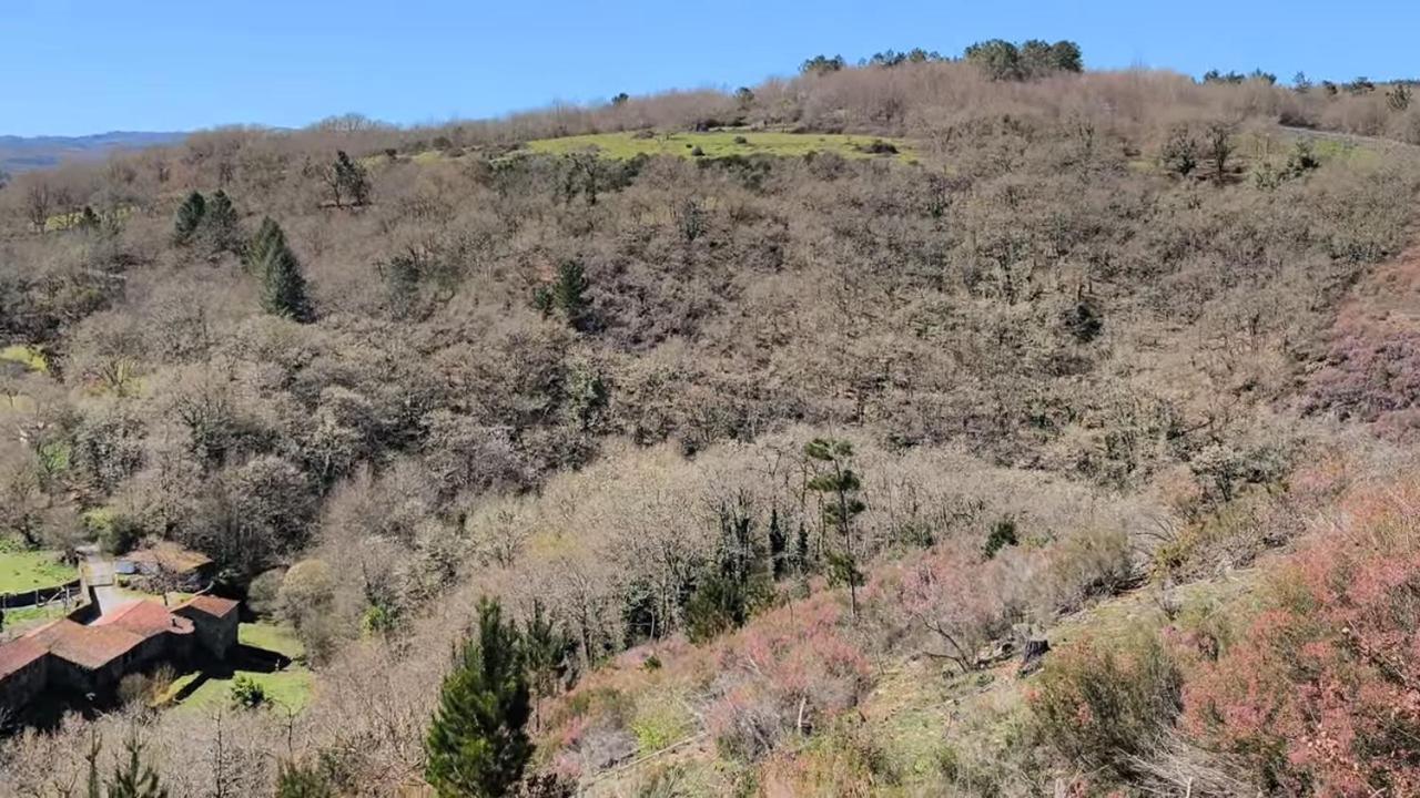 Casa Grande De Covas-Apartamentos Turisticos タボアーダ エクステリア 写真